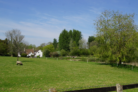 Stoke Charity wEB039