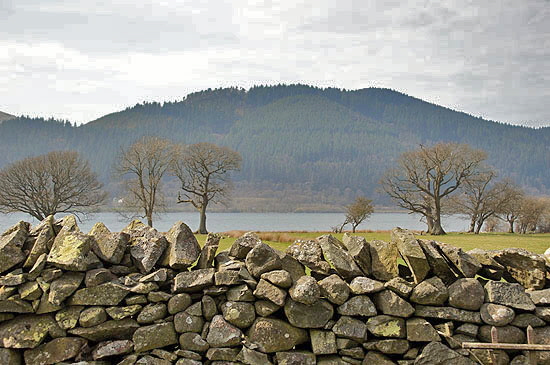 Bassenthwaite Web018