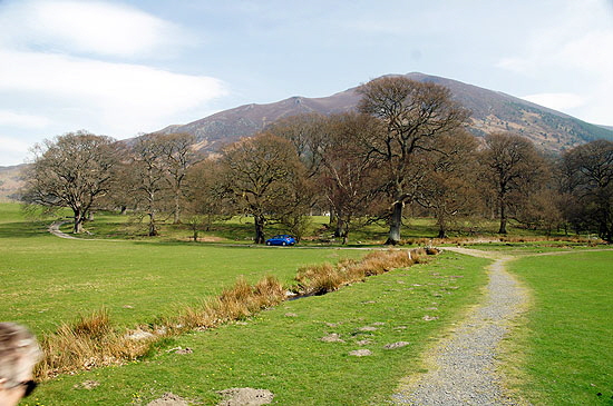 Bassenthwaite Web023