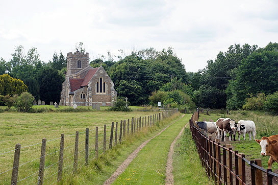 Little Barford Web020