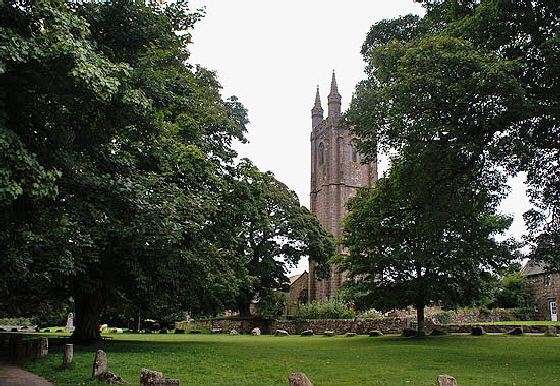 Widecombe_Web024